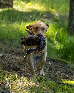 20220604-SHW-2026.jpg