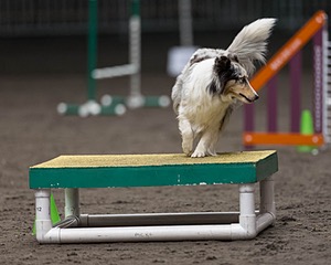 Annie Cirinna