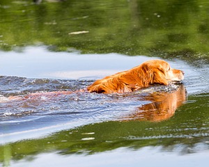 20160604-SEAW-1006.jpg