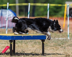 20160619-CCKC-1447.jpg
