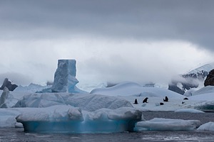 20260319-0081.jpg