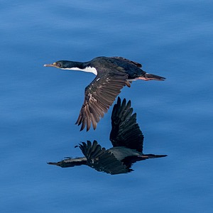 20260327-0227.jpg