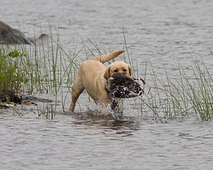 20080531-HRW-0446.jpg