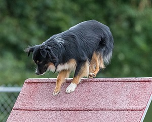 20200819-2847.jpg