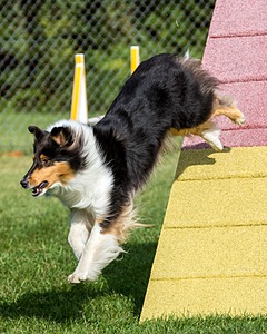 20200819-0644.jpg