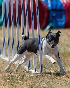 20160618-CCKC-1737.jpg