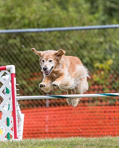 20200819-1379.jpg