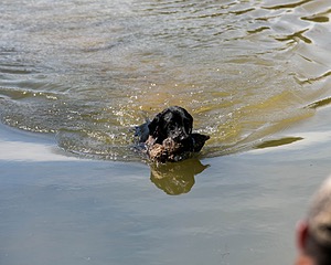 20150912-SHRW-0015.jpg