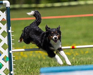 Teddy Lohrer