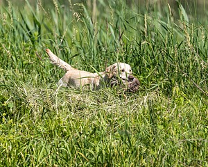 20210606-FINW-0250.jpg