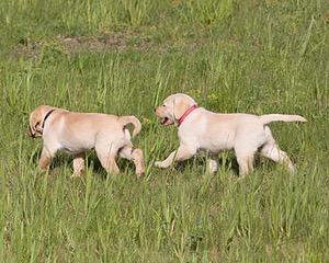 20080601-C-0200.jpg