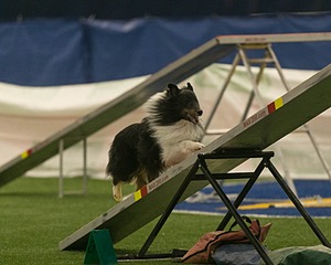 20150321-LEAP-1341.jpg