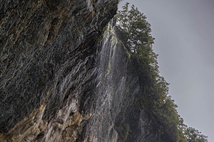 20260326-0015.jpg