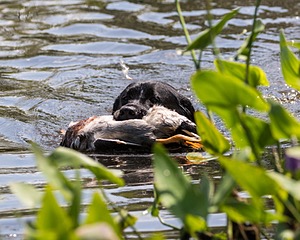 20190803-JHW-0011.jpg