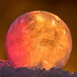 Frozen Soap Bubbles, Massachusetts