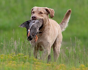 20080531-HRL-0017.jpg