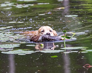 20170603-SEAW-0004.jpg
