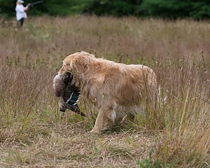 20130921-WCL-0005.jpg