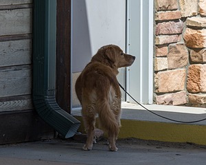 20250512-SCENT-0157.jpg