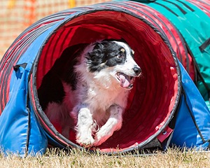 20160619-CCKC-0740.jpg