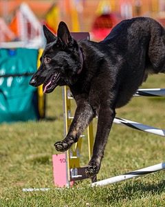 20180617-1640.jpg