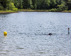 Tootsie Totten