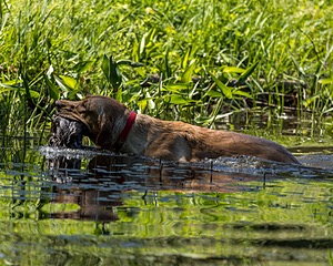 20220604-SHW-2009.jpg