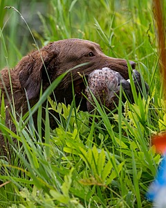 20170603-SEAW-0039.jpg
