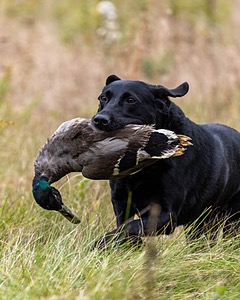 Teegan Kennedy