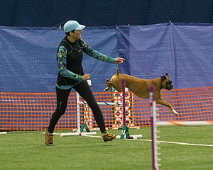 Molly Vicuna
