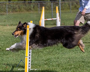 20200819-0652.jpg