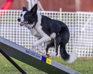 20230916-PVKC-1746.jpg