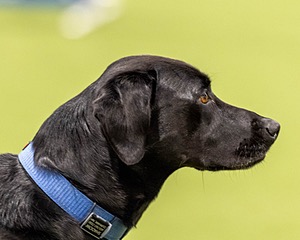 20260221-C-0009.jpg