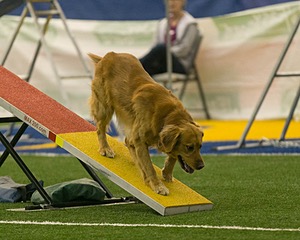 20150321-LEAP-0674.jpg