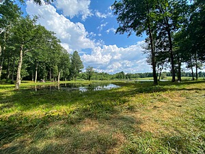 20200809-C-0011.jpg