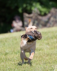 20130601-SHRL-0357.jpg