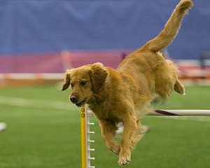 20150321-LEAP-0671.jpg
