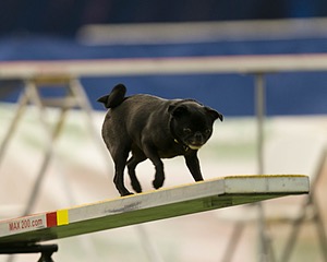 20150321-LEAP-1683.jpg
