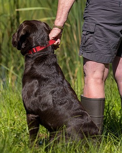 Gunny Fisher
