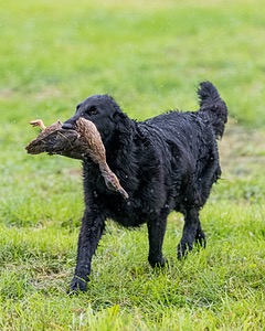 20210725-SHL-1698.jpg