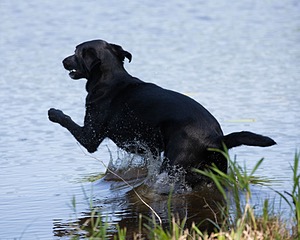 Teagan