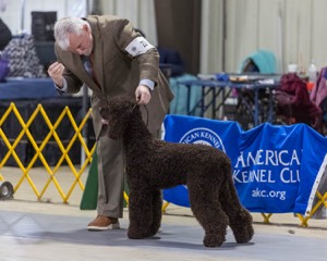 20260228-0074.jpg