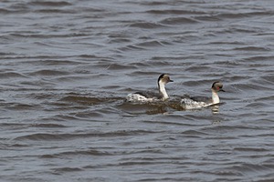20191218-0818.jpg