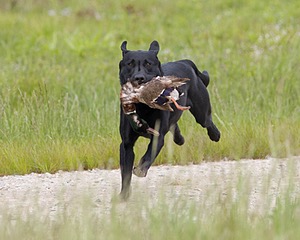 20080531-HRL-0284.jpg