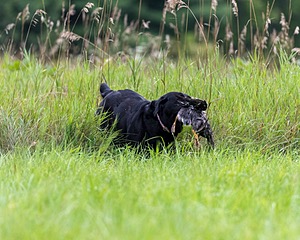 20210808-JHL-0031.jpg