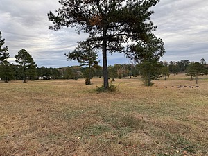 20241102-C-0002.jpg