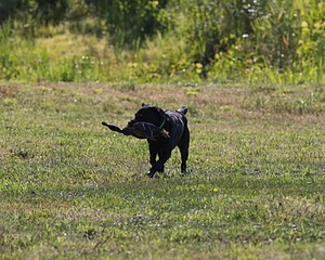 20140809-JHL-0014.jpg