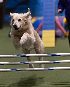 20260221-0625.jpg
