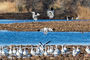 20151206-3506.jpg