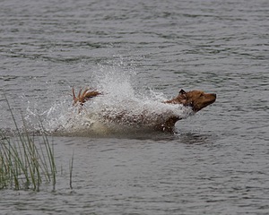 20080531-HRW-0236.jpg